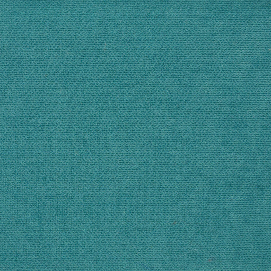 37554